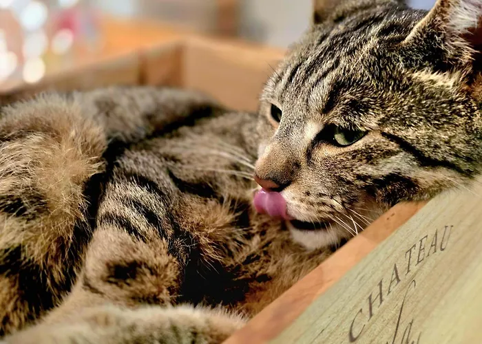 Konsdreffermillen * Müllerthal