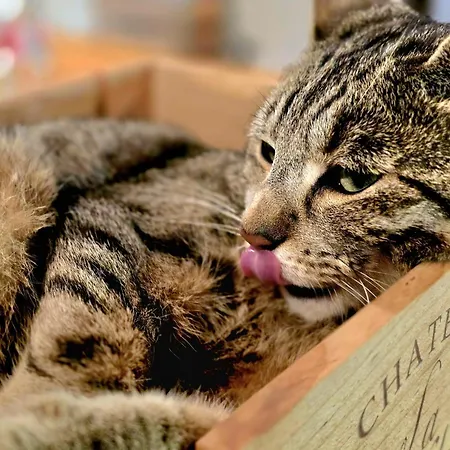 Konsdreffermillen * Müllerthal